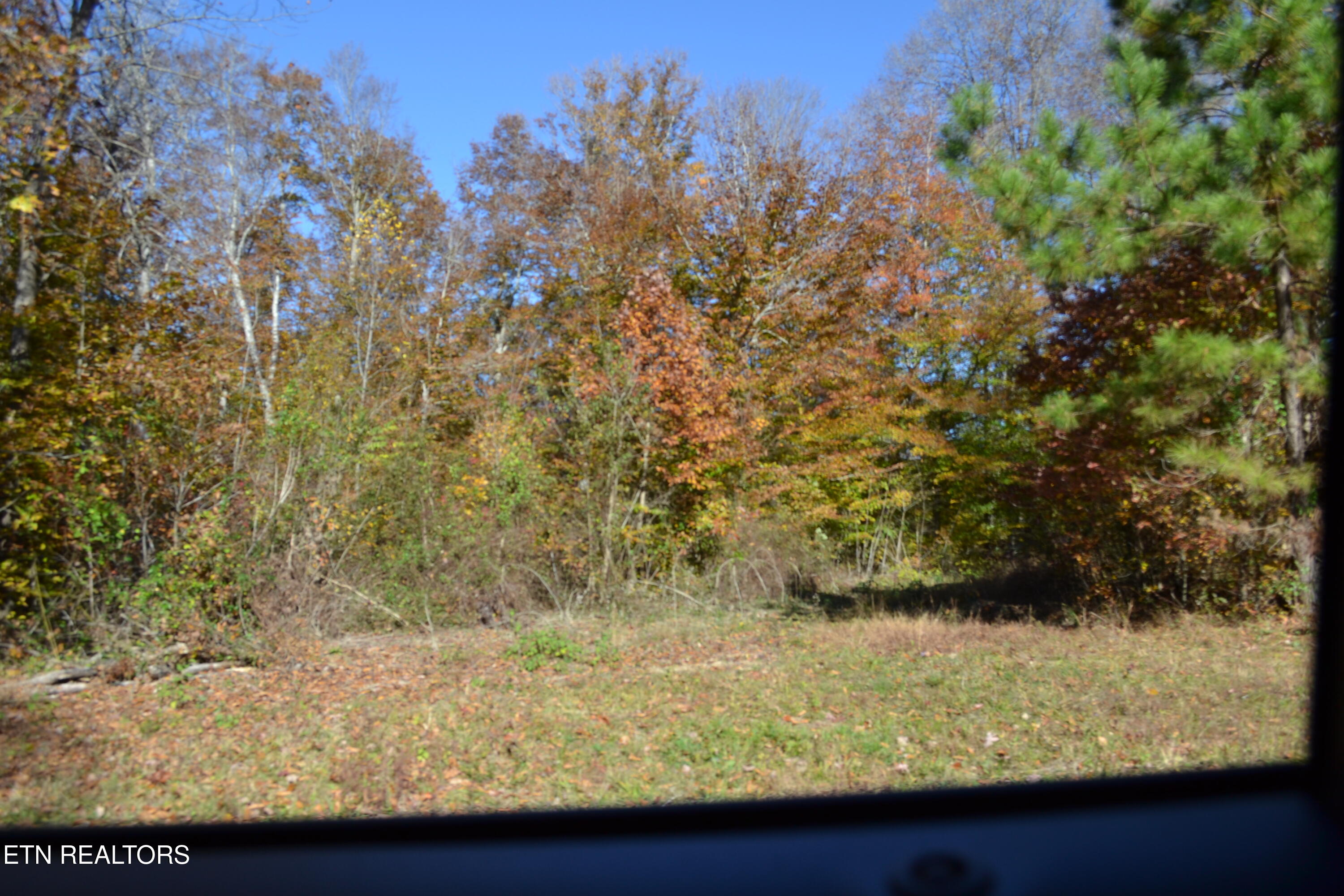 28.30-ac Whitson Hollow Road Red Boiling Springs, TN 37150 - Photo 29 of 54 DSC_0122