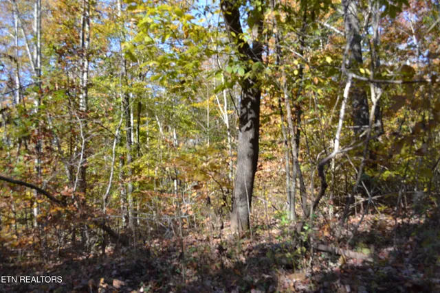$389,000 | 28.30-ac Whitson Hollow Road, Red Boiling Springs, TN 37150