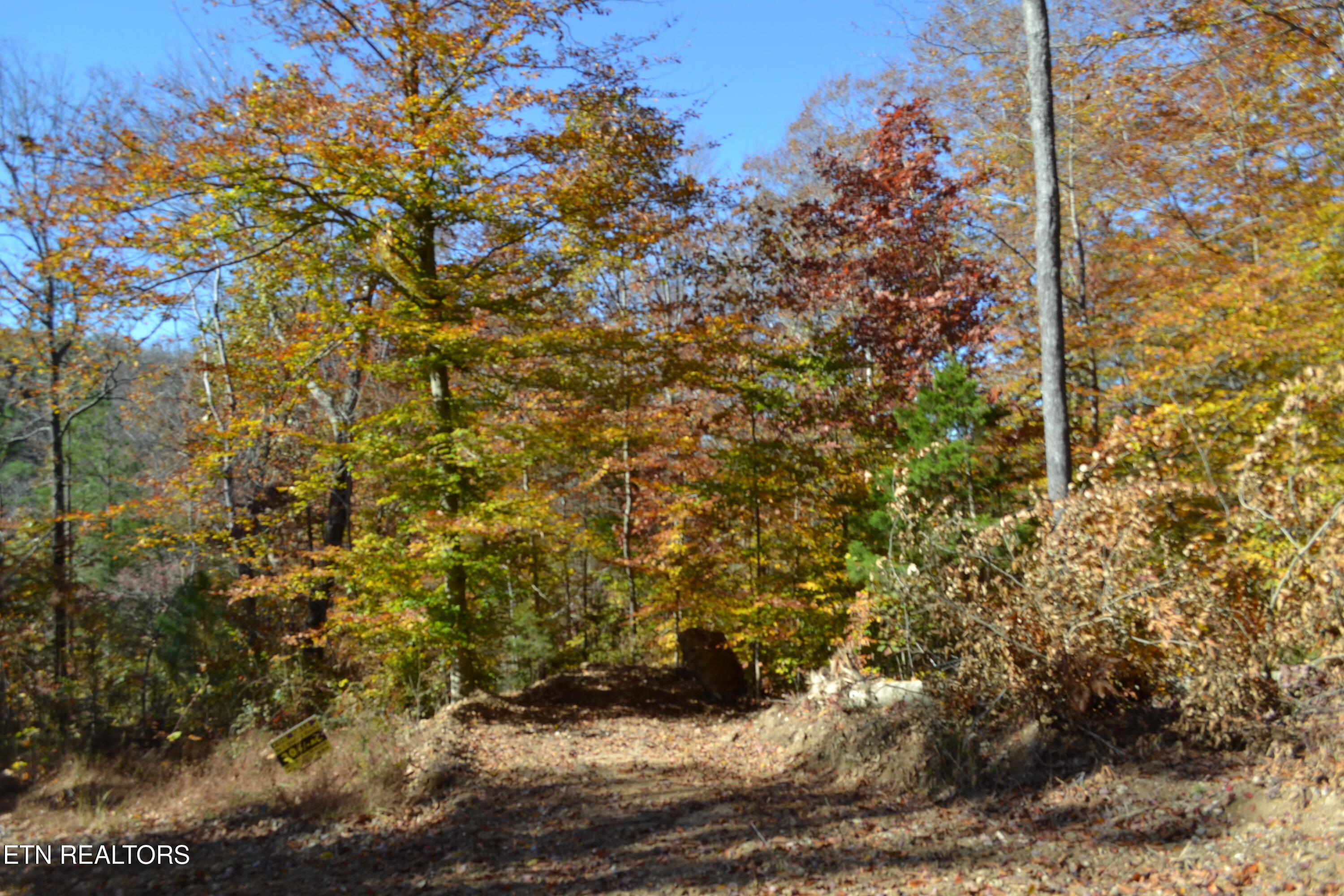 28.30-ac Whitson Hollow Road Red Boiling Springs, TN 37150 - Photo 32 of 54 DSC_0126