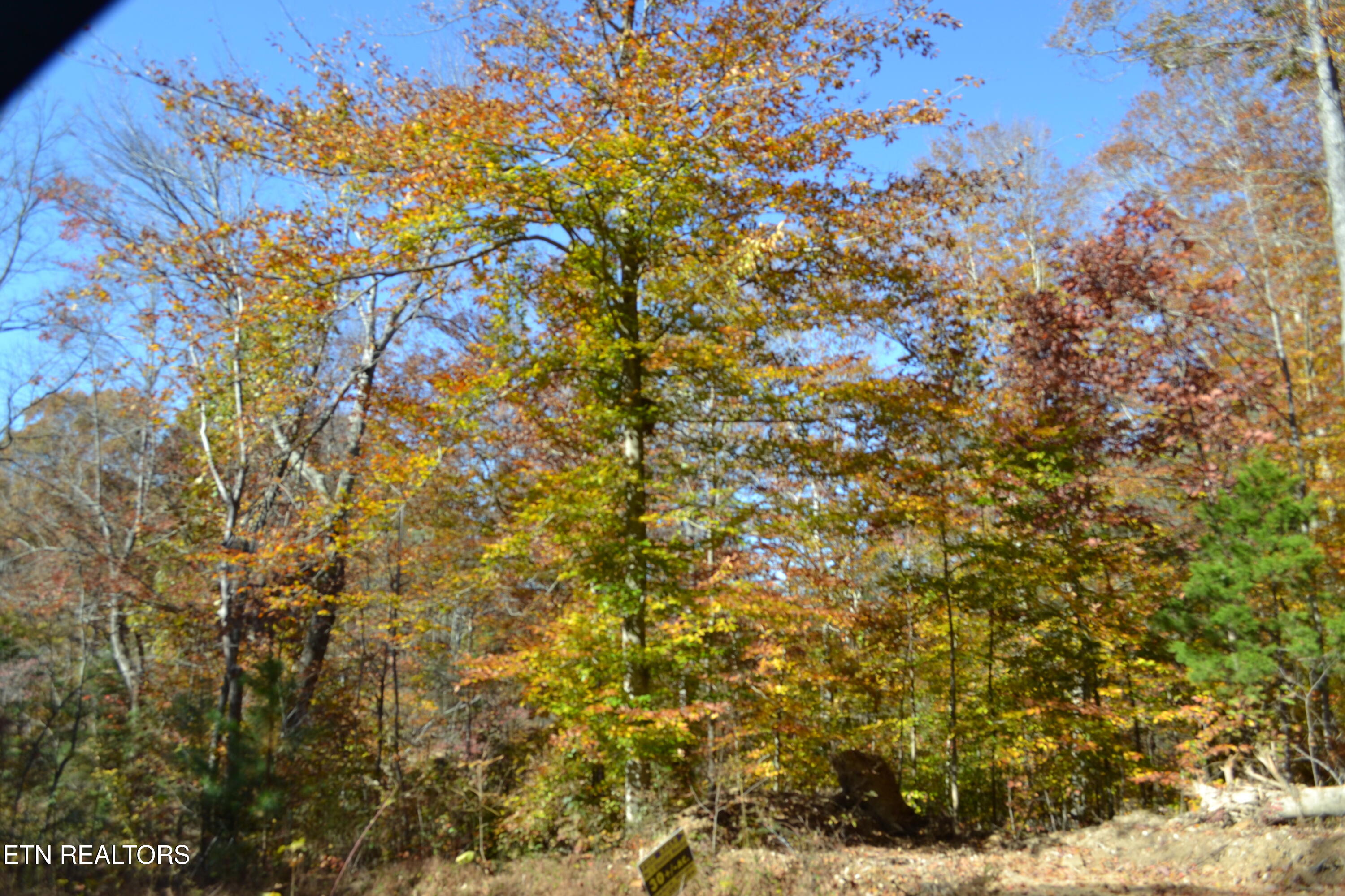 28.30-ac Whitson Hollow Road Red Boiling Springs, TN 37150 - Photo 33 of 54 DSC_0127