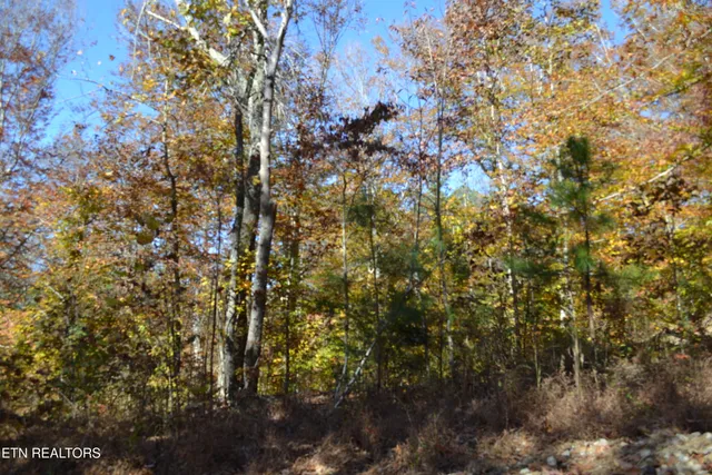$389,000 | 28.30-ac Whitson Hollow Road, Red Boiling Springs, TN 37150