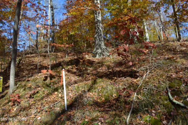 $389,000 | 28.30-ac Whitson Hollow Road, Red Boiling Springs, TN 37150