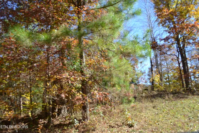 $389,000 | 28.30-ac Whitson Hollow Road, Red Boiling Springs, TN 37150
