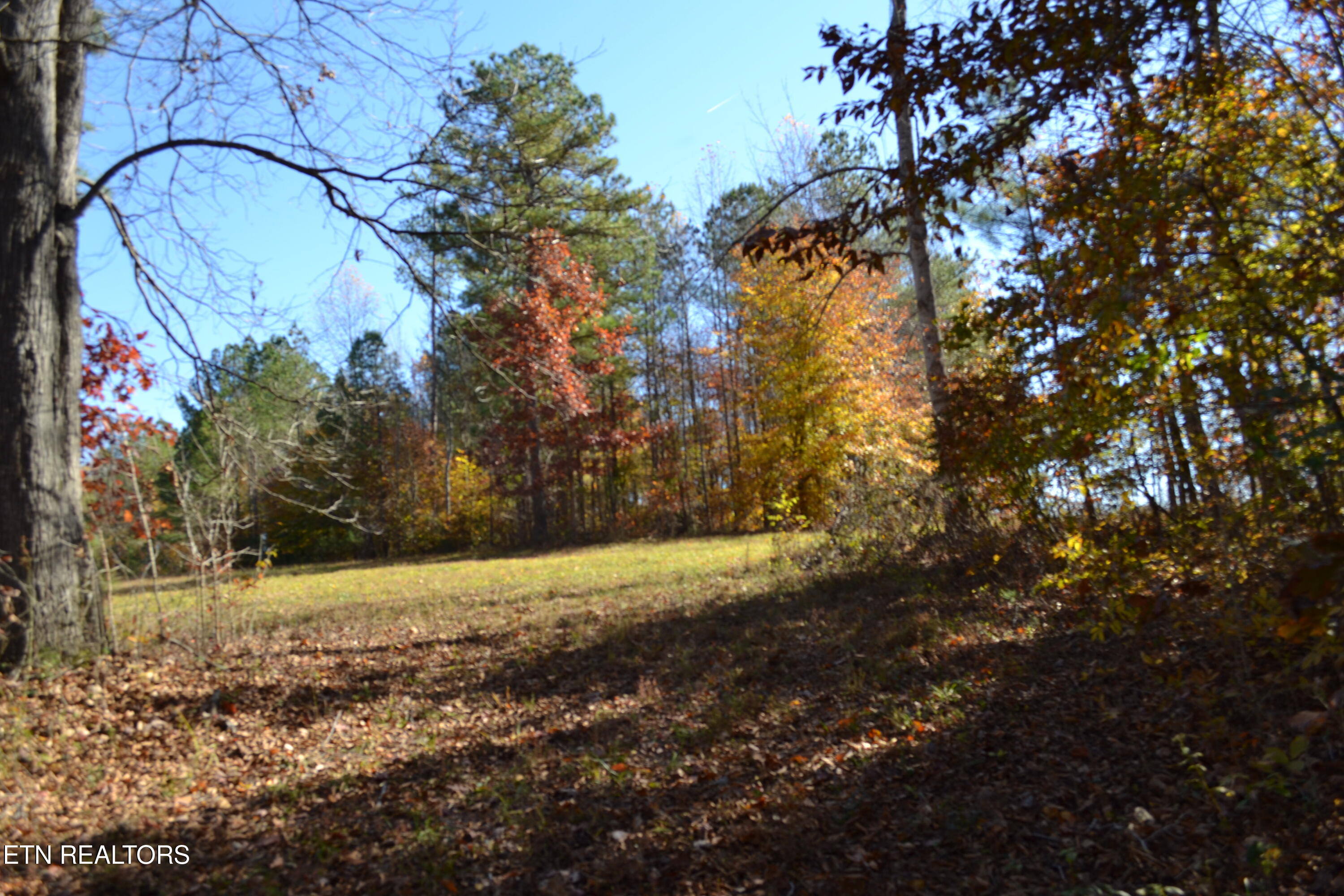 28.30-ac Whitson Hollow Road Red Boiling Springs, TN 37150 - Photo 41 of 54 DSC_0137