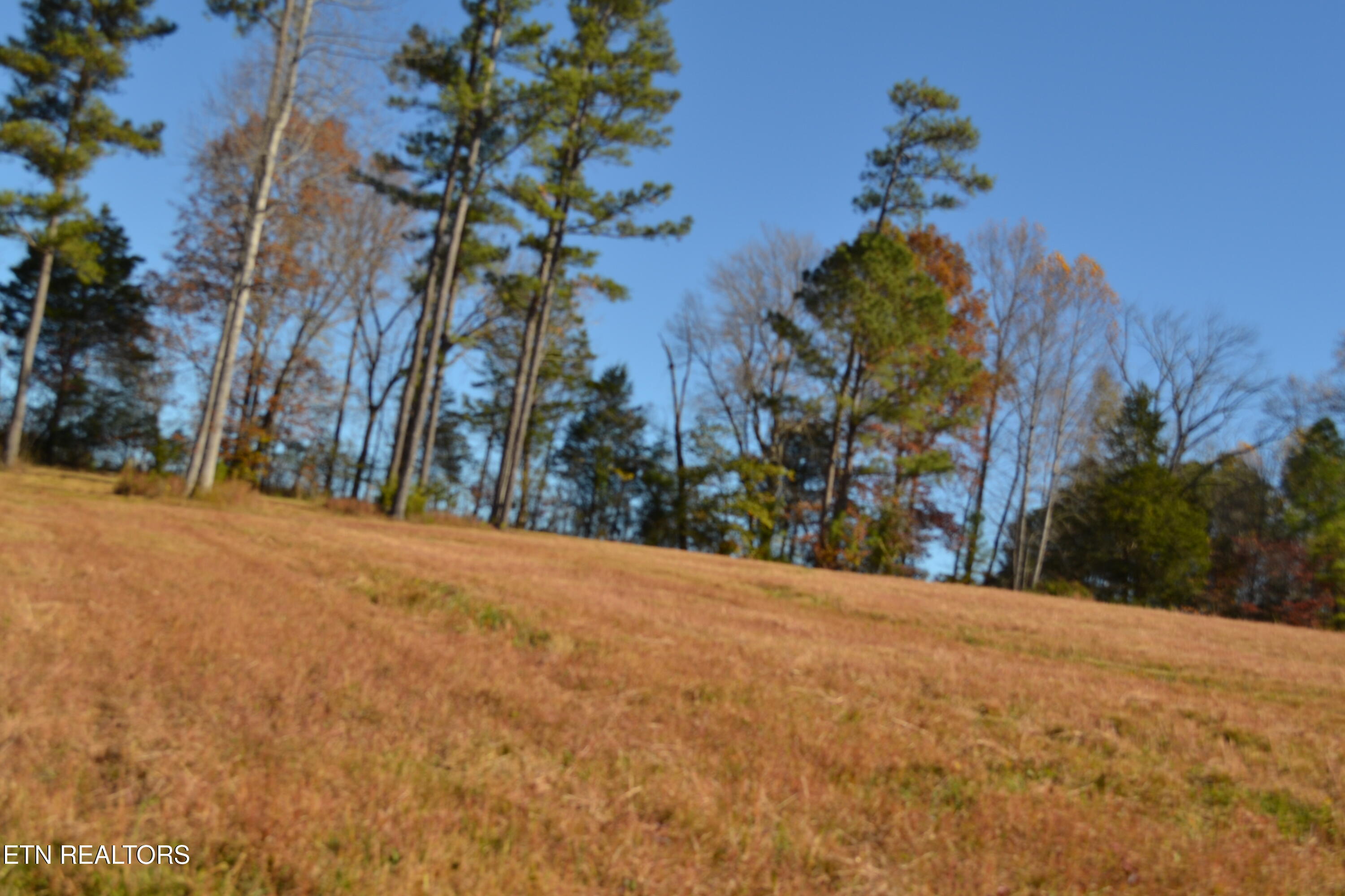 28.30-ac Whitson Hollow Road Red Boiling Springs, TN 37150 - Photo 48 of 54 DSC_0145