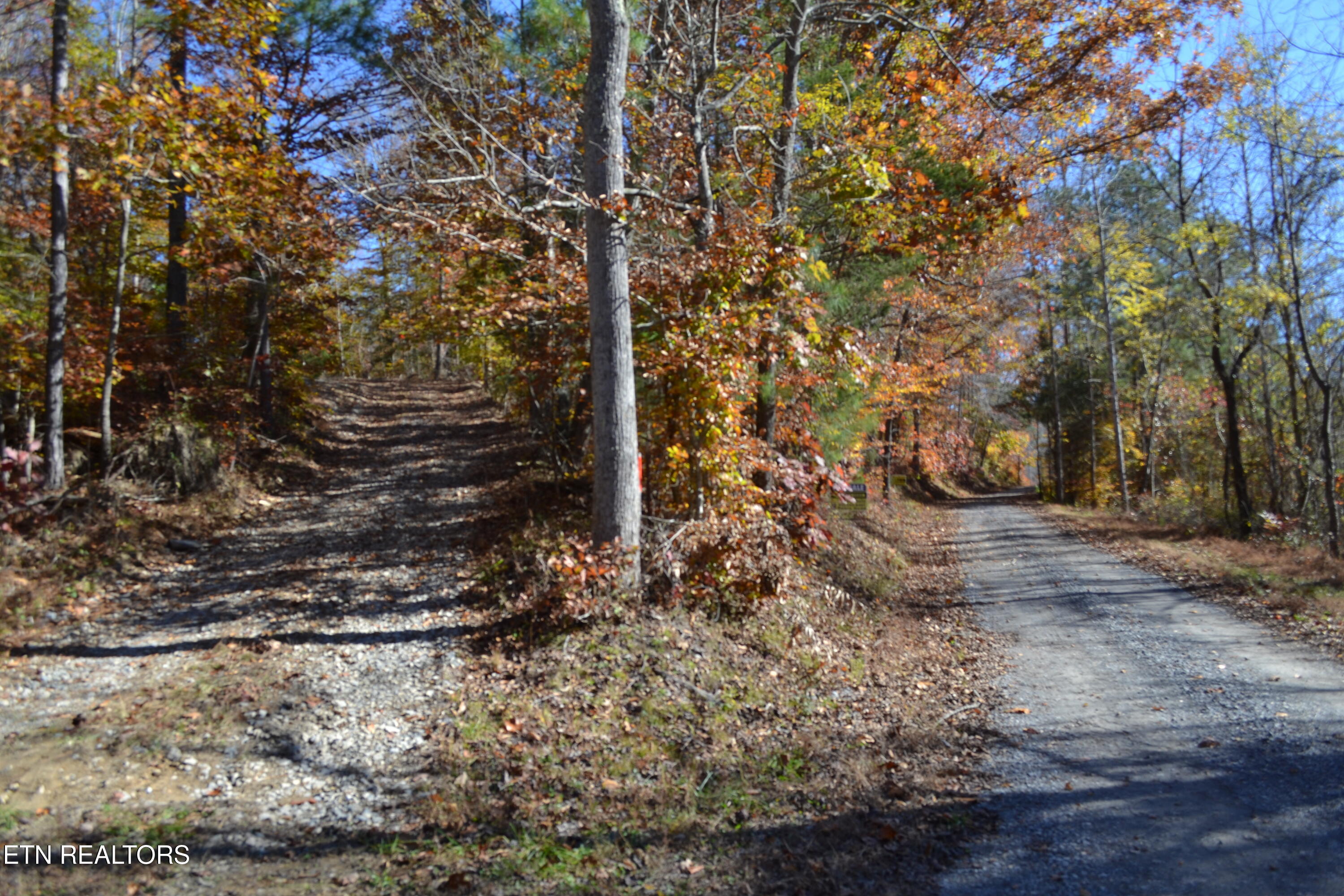 28.30-ac Whitson Hollow Road Red Boiling Springs, TN 37150 - Photo 5 of 54 DSC_0077