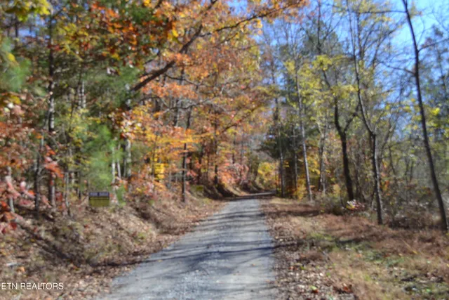 $389,000 | 28.30-ac Whitson Hollow Road, Red Boiling Springs, TN 37150