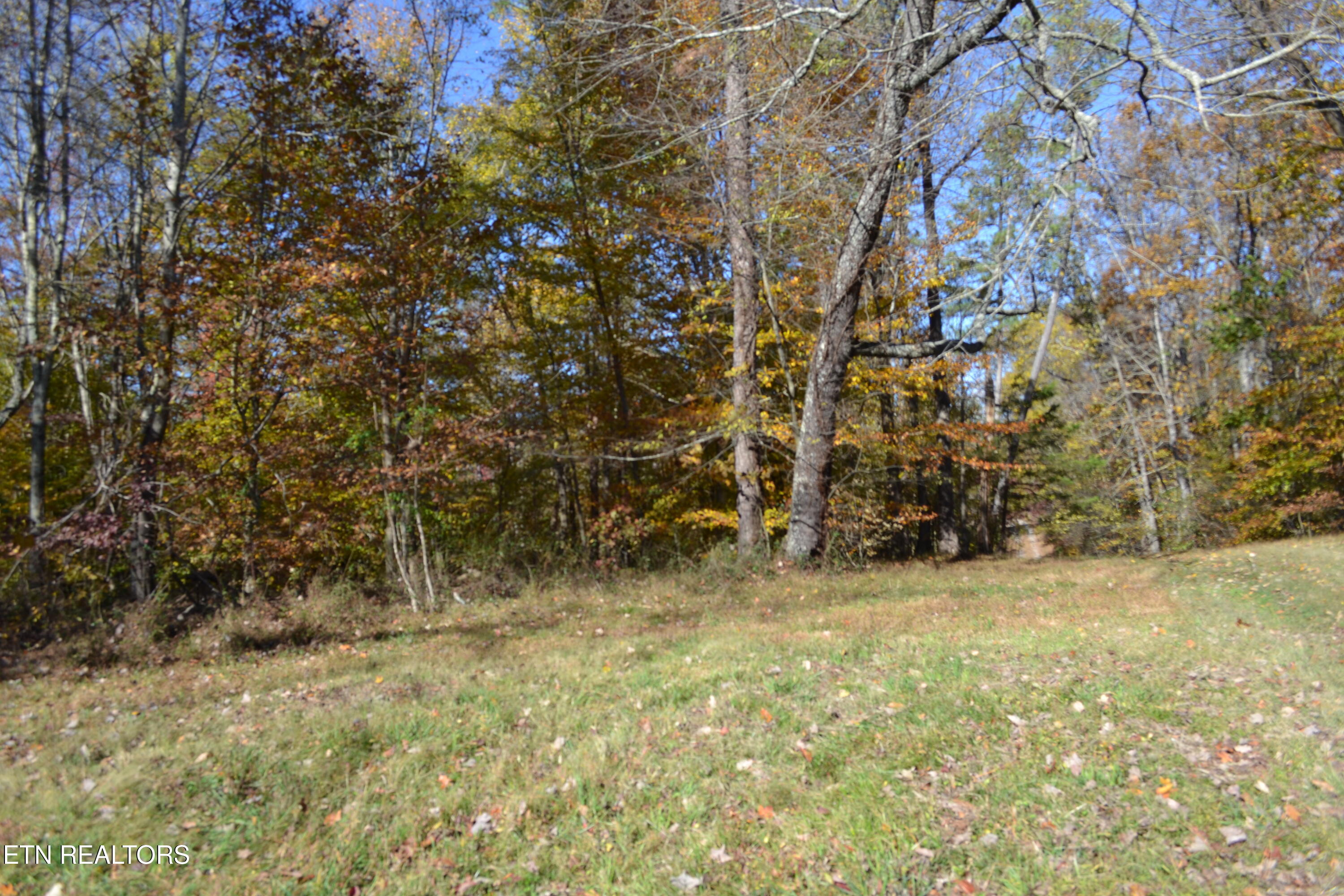 28.30-ac Whitson Hollow Road Red Boiling Springs, TN 37150 - Photo 7 of 54 DSC_0089