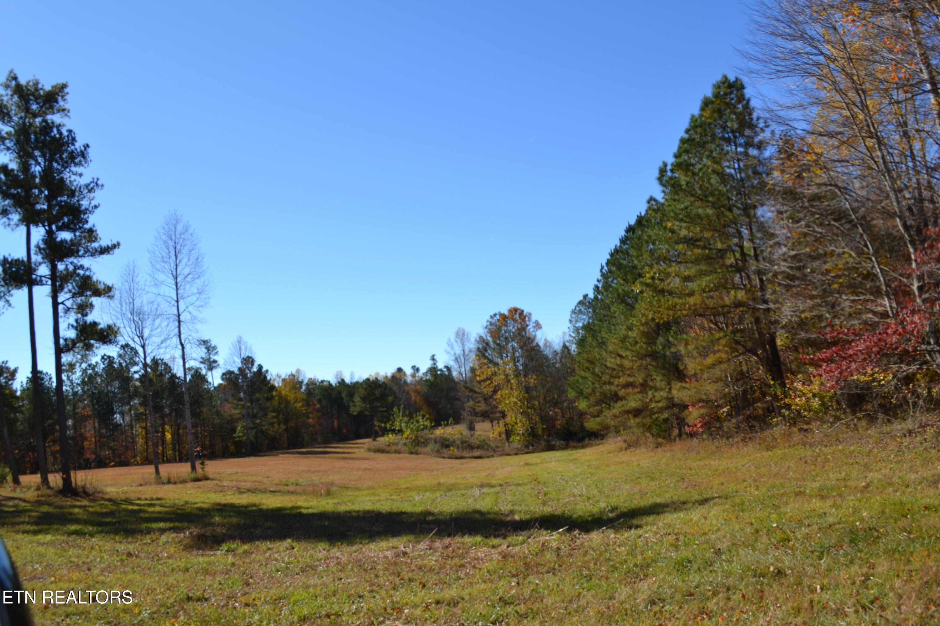 28.30-ac Whitson Hollow Road Red Boiling Springs, TN 37150 - Photo 8 of 54 DSC_0090