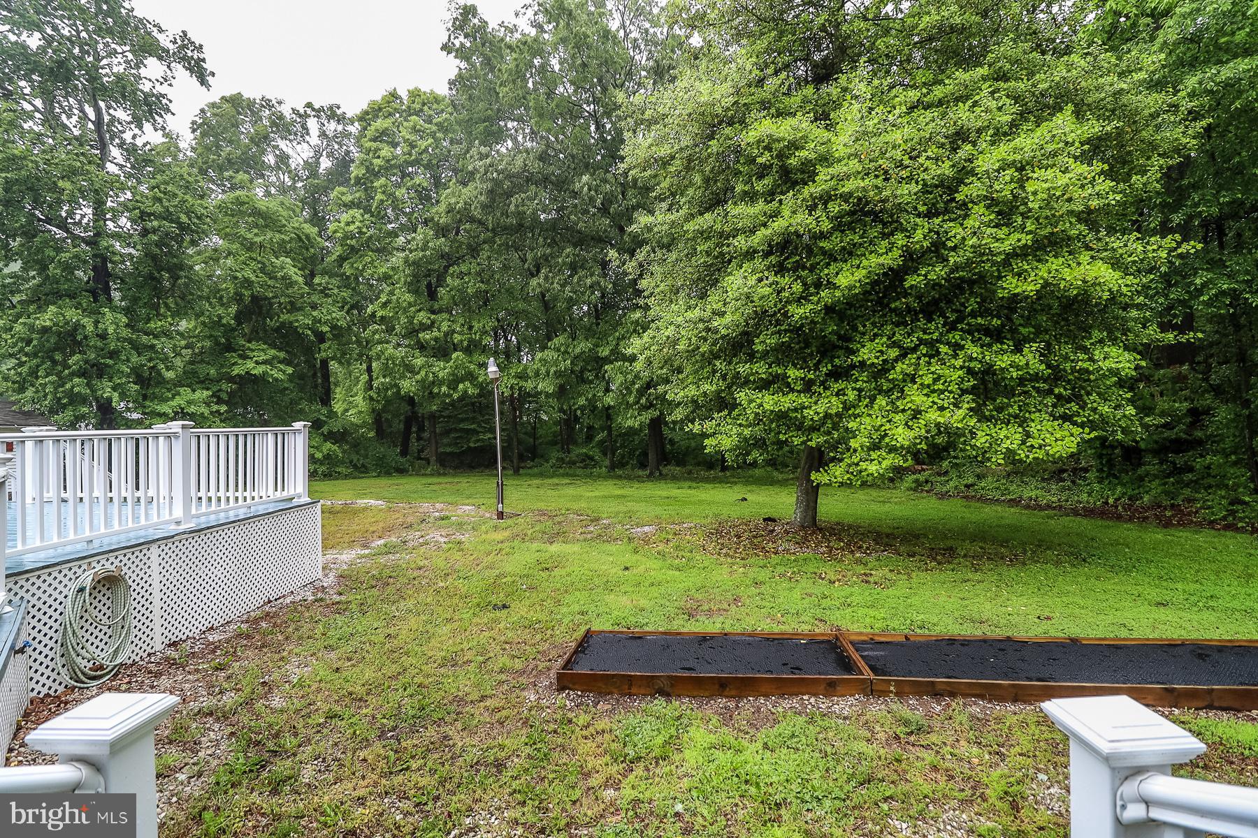966 Bird River Beach Road Baltimore, MD 21220 - Photo 46 of 51 Rear yard backs to trees