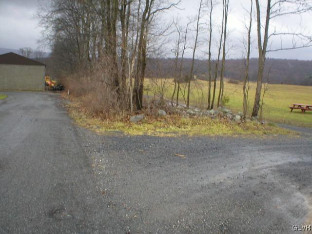 1 Long Mountain Road Effort, PA 18330 - Photo 11 of 11 a view of a yard with swimming pool