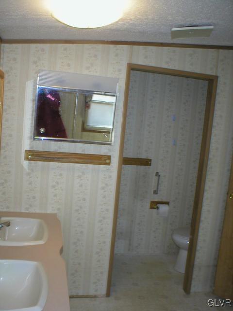 1 Long Mountain Road Effort, PA 18330 - Photo 6 of 11 a bathroom with a sink and mirror