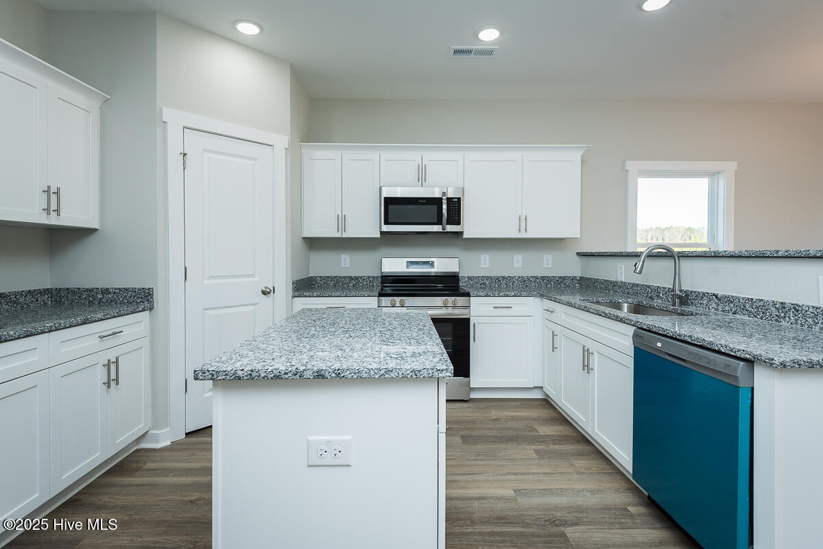 146 Tupelo Dr Spring Spring Hope, NC 27882 - Photo 6 of 26 Hezar Home Team- 146 Tupelo (Brook)-5