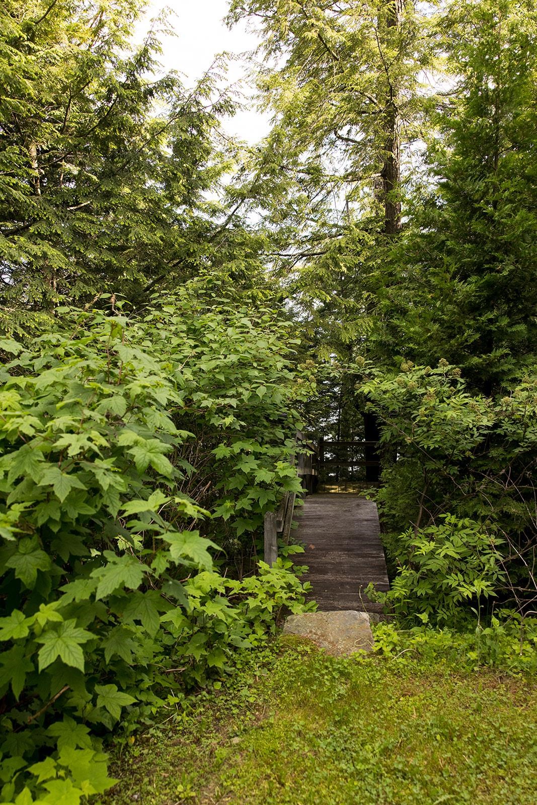 1723 Marble Island Road Colchester, VT 05446 - Photo 21 of 35
