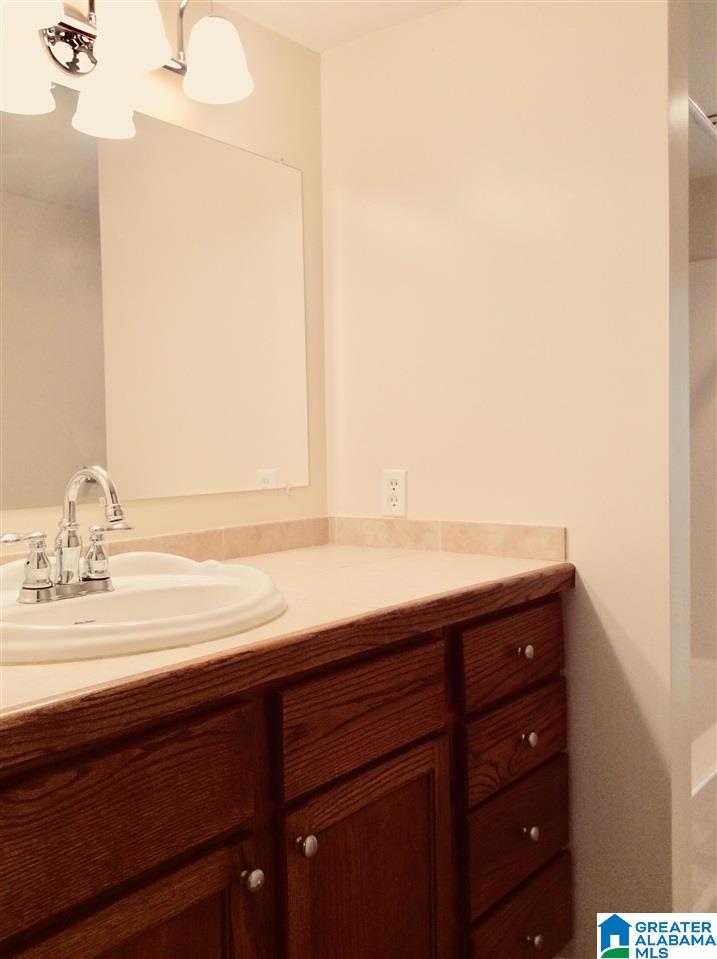 1107 County Road 313 Delta, AL 36258 - Photo 10 of 15