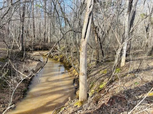 a view of pathway along with trees
