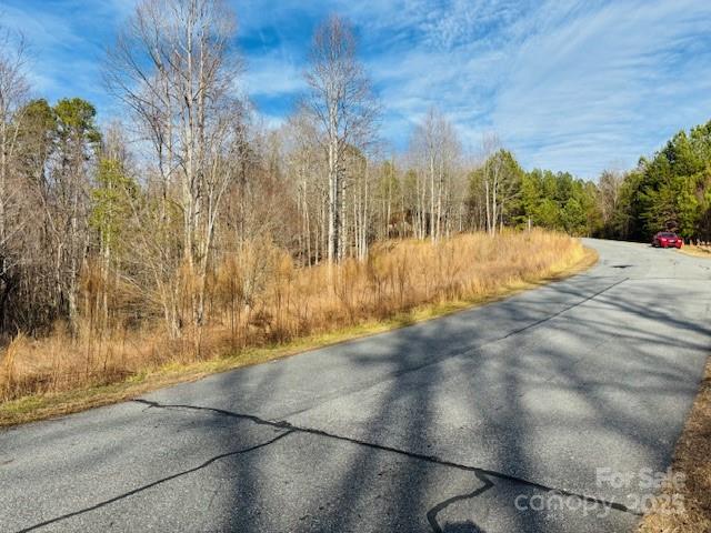 0 Clearwater Parkway, Unit 238 Rutherfordton, NC 28139 - Photo 13 of 35 a view of backyard of the house