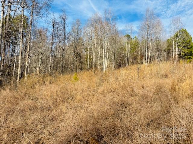 0 Clearwater Parkway, Unit 238 Rutherfordton, NC 28139 - Photo 14 of 35