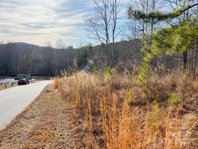0 Clearwater Parkway, Unit 238 Rutherfordton, NC 28139 - Photo 16 of 35 a view of a yard with wooden fence