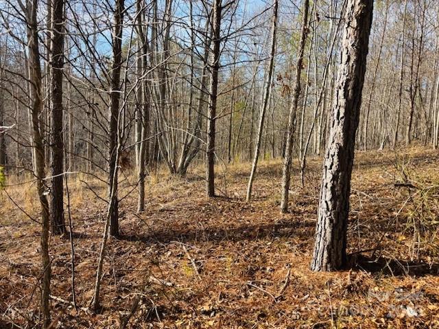 0 Clearwater Parkway, Unit 238 Rutherfordton, NC 28139 - Photo 17 of 35 a view of outdoor space with lots of trees