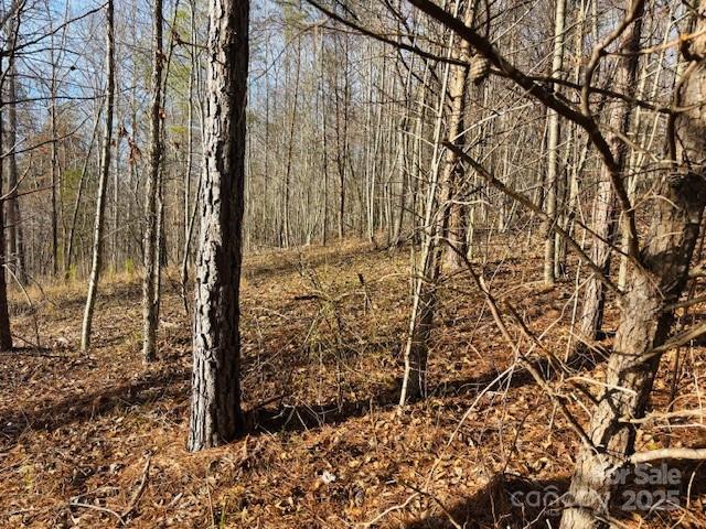 0 Clearwater Parkway, Unit 238 Rutherfordton, NC 28139 - Photo 18 of 35 a view of a yard with plants and trees