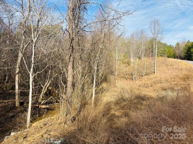 0 Clearwater Parkway, Unit 238 Rutherfordton, NC 28139 - Photo 2 of 35 a view of a yard