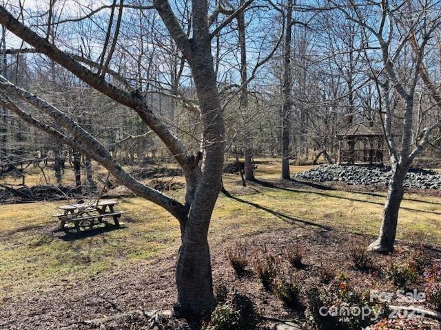 0 Clearwater Parkway, Unit 238 Rutherfordton, NC 28139 - Photo 28 of 35 a view of a tree in the middle of a yard