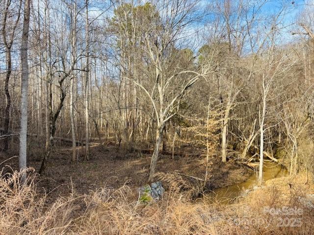 0 Clearwater Parkway, Unit 238 Rutherfordton, NC 28139 - Photo 4 of 35 a backyard of a house with lots of green space