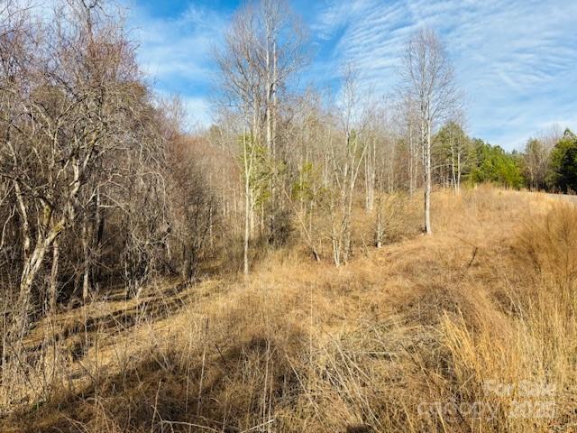 0 Clearwater Parkway, Unit 238 Rutherfordton, NC 28139 - Photo 5 of 35 a view of small yard