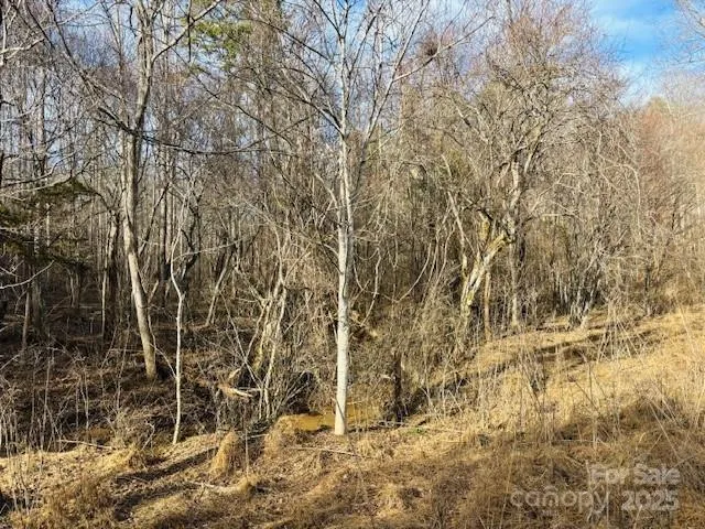 a view of empty room with wooden door
