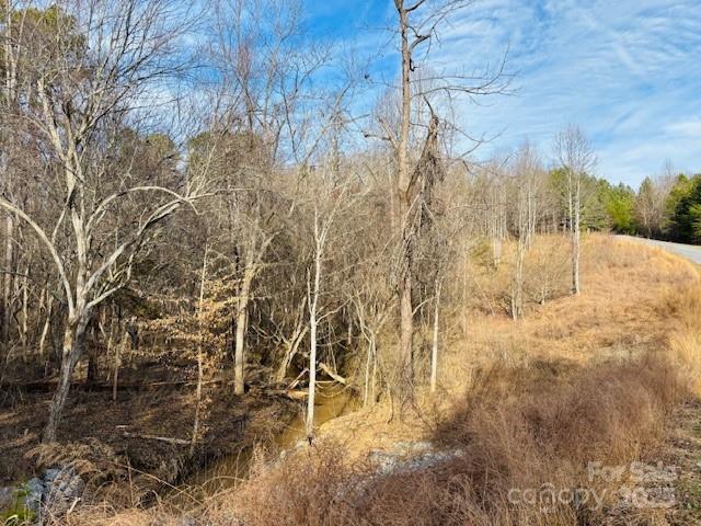 0 Clearwater Parkway, Unit 238 Rutherfordton, NC 28139 - Photo 8 of 35 a view of yard