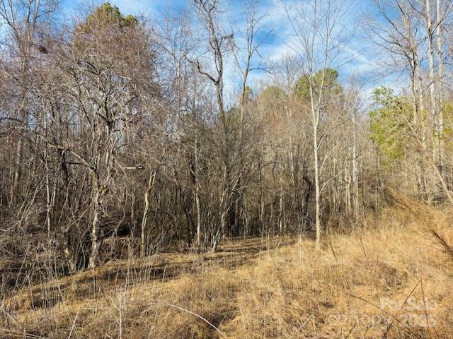 0 Clearwater Parkway, Unit 238 Rutherfordton, NC 28139 - Photo 9 of 35 a view of a yard with trees