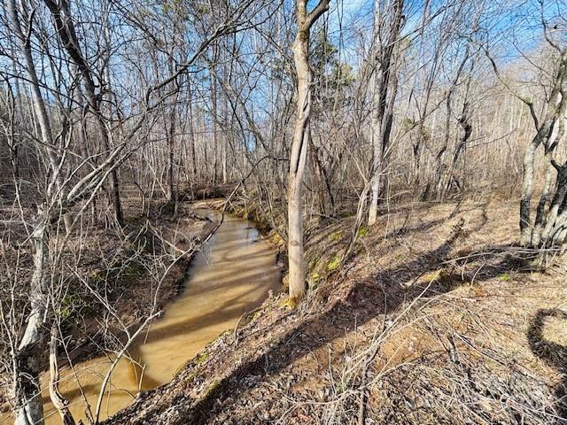 0 Clearwater Parkway, Unit 238 Rutherfordton, NC 28139 - Photo 10 of 35 a view of a yard with large trees