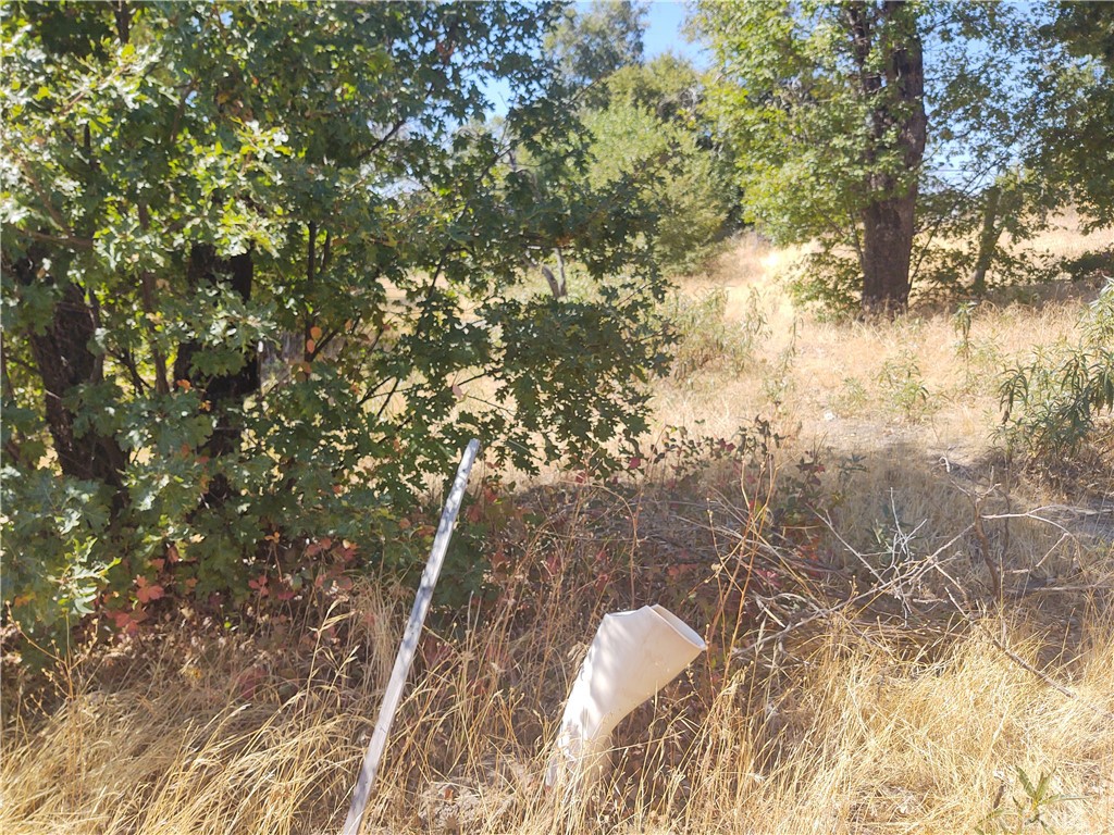 363 Raccoon Road Berry Creek, CA 95916 - Photo 9 of 27 a view of yard from outdoor space
