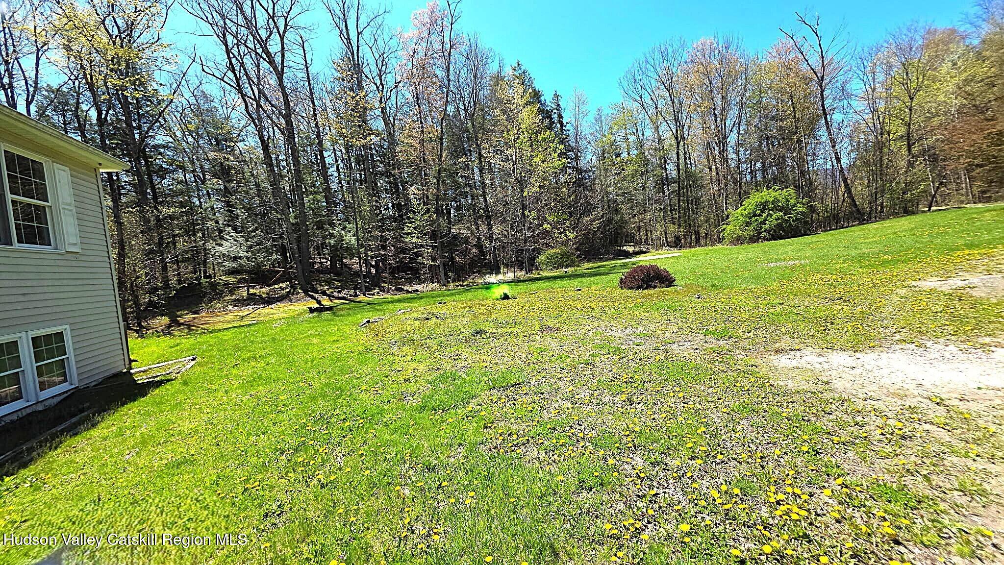 10 Lena Lane Cairo, NY 12413 - Photo 18 of 19 a view of an outdoor space and a yard