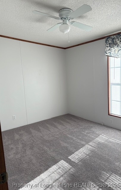 460 Shelton Beard Road Stedman, NC 28391 - Photo 11 of 27 an empty room with a chandelier fan and windows