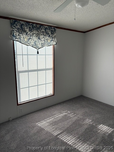 460 Shelton Beard Road Stedman, NC 28391 - Photo 15 of 27 an empty room with a window
