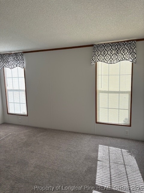 460 Shelton Beard Road Stedman, NC 28391 - Photo 19 of 27 an empty room with a window