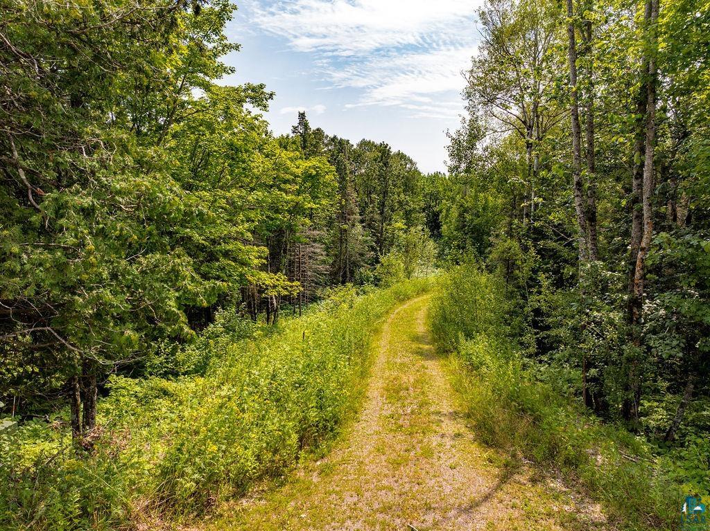 1260 Lindgren Road Two Harbors, MN 55616 - Photo 4 of 8 View of nature