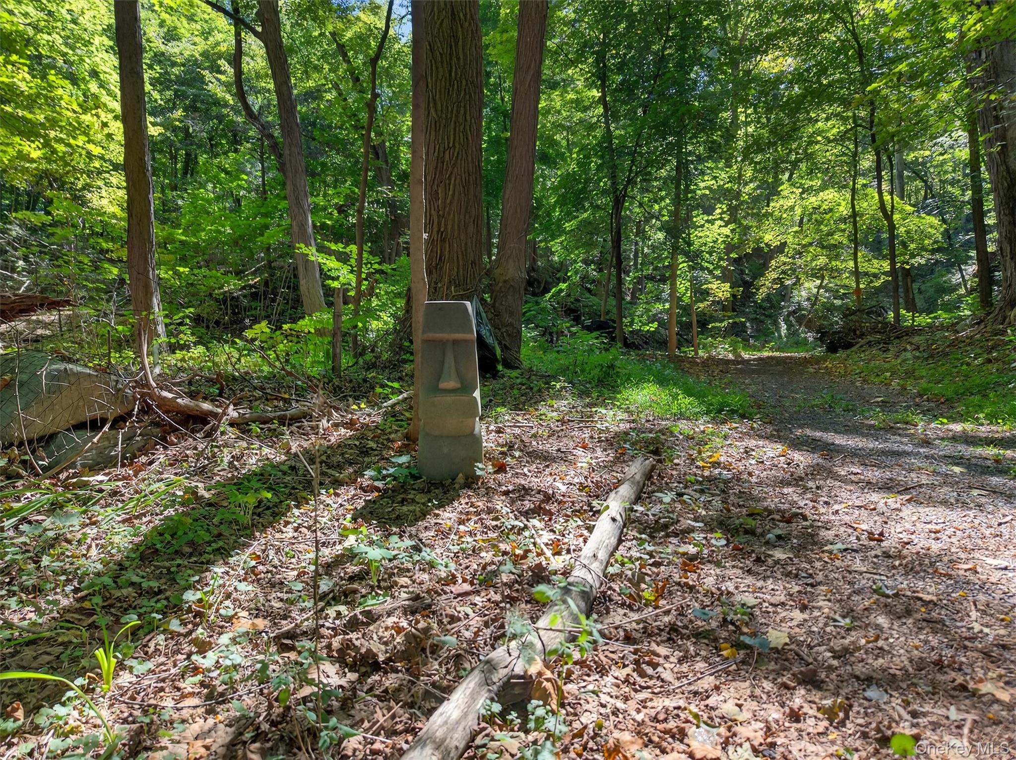 331 Mountain Lodge Road Blooming Grove, NY 10950 - Photo 27 of 50 View of yard