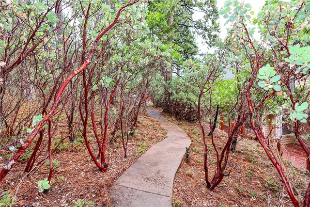 $1,030,000 | 1870 Thunderbolt Trail, Arnold, CA 95223