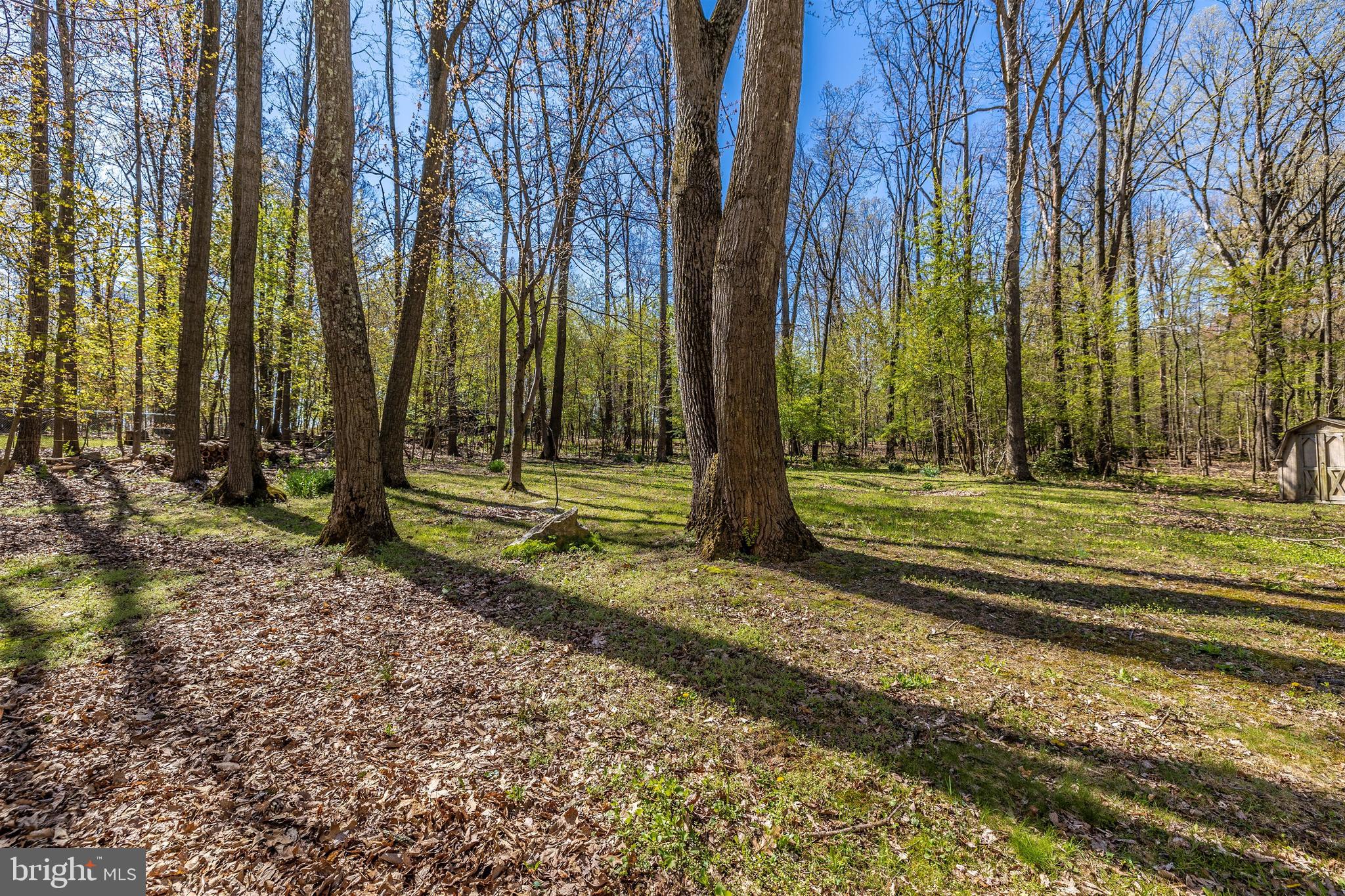 2693 Walston Road Mount Airy, MD 21771 - Photo 59 of 68 Gallery Image 59