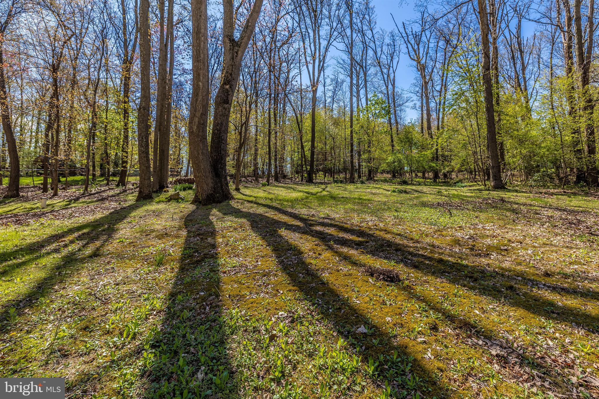 2693 Walston Road Mount Airy, MD 21771 - Photo 60 of 68 Gallery Image 60