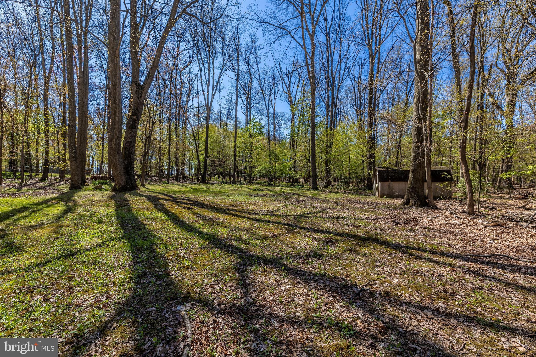 2693 Walston Road Mount Airy, MD 21771 - Photo 61 of 68 Gallery Image 61