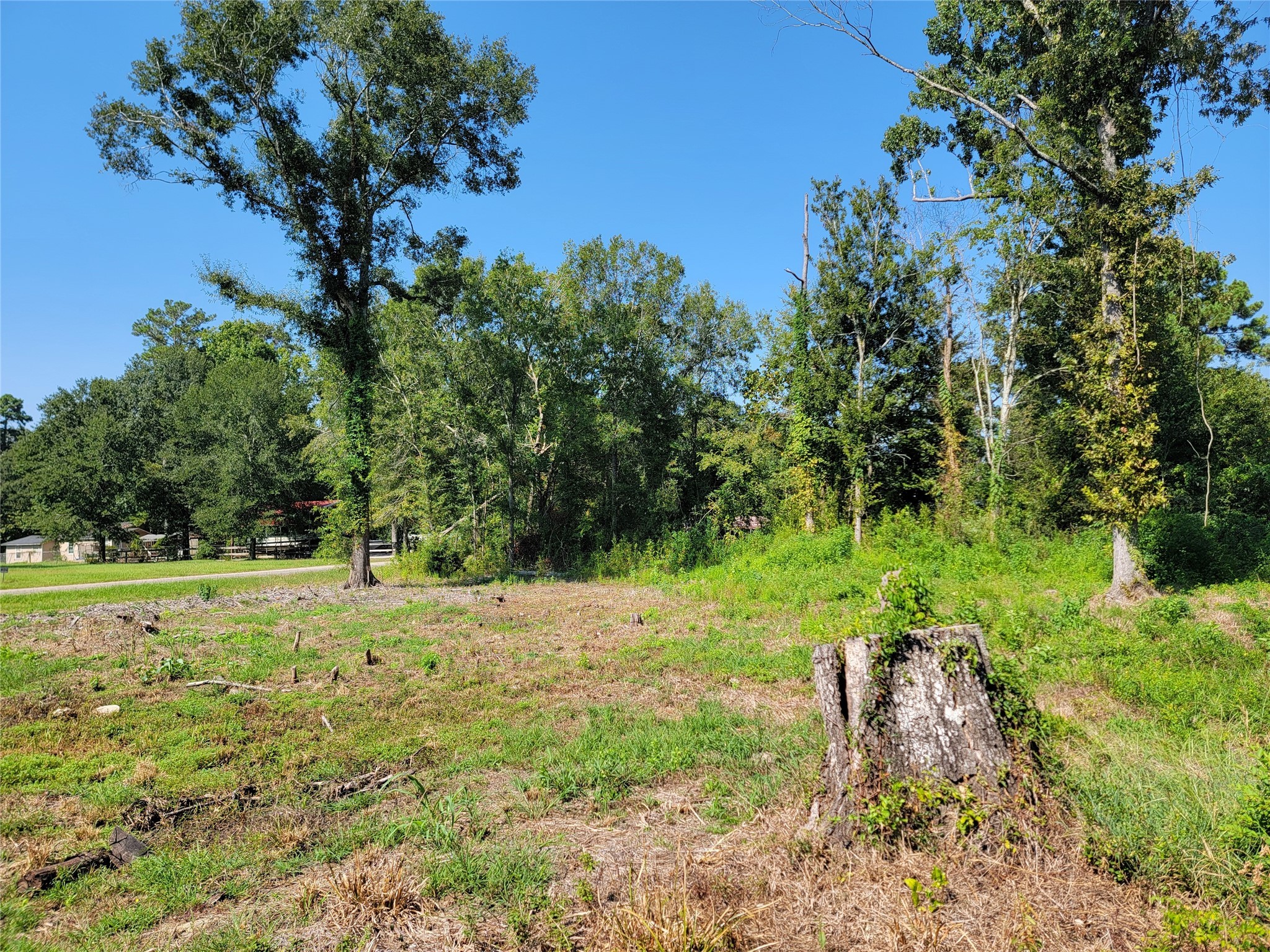 0 Springwater Drive Huffman, TX 77336 - Photo 11 of 17 a big yard with lots of green space and trees around