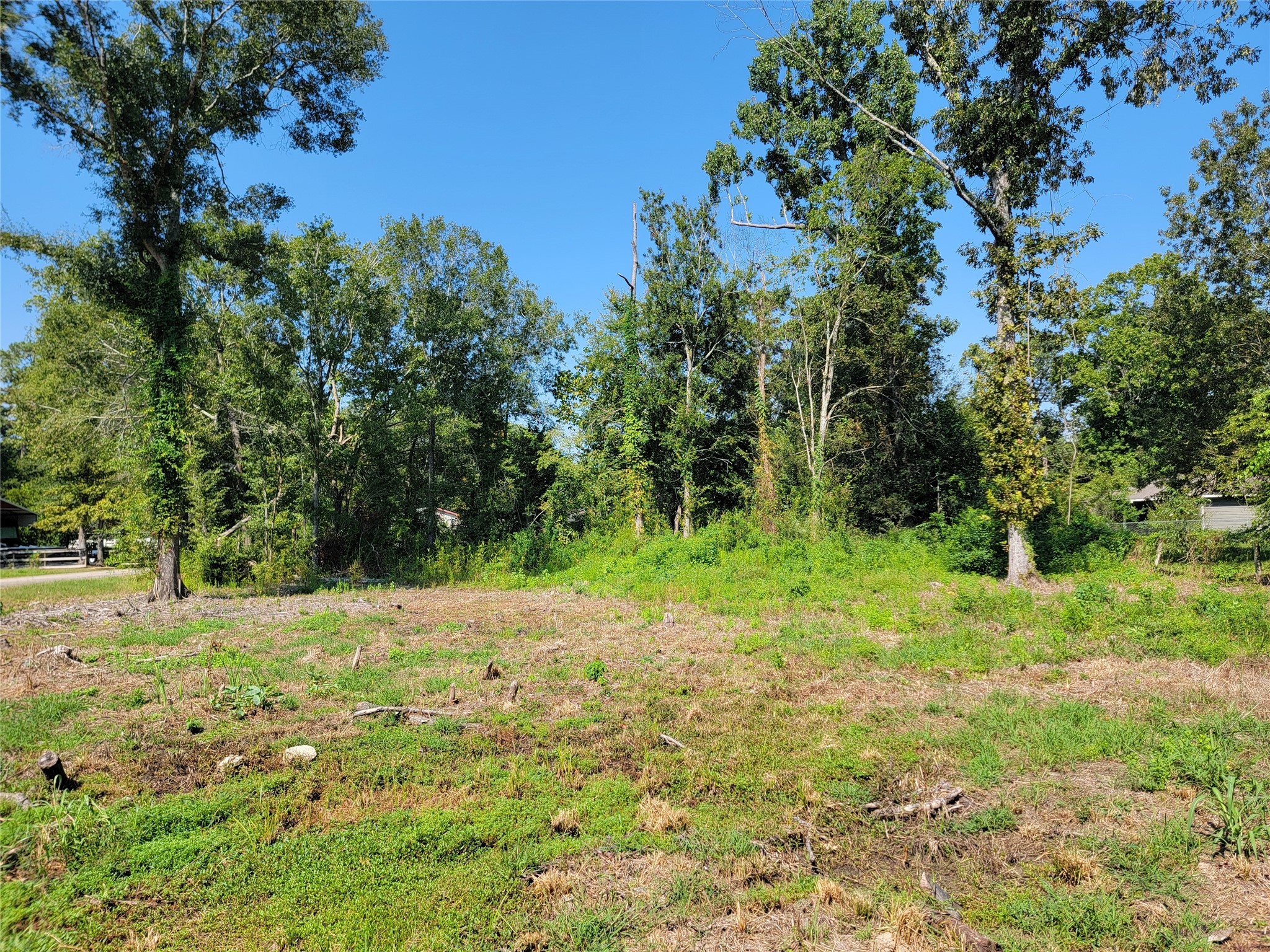 0 Springwater Drive Huffman, TX 77336 - Photo 12 of 17 a fire hydrant in the middle of a field