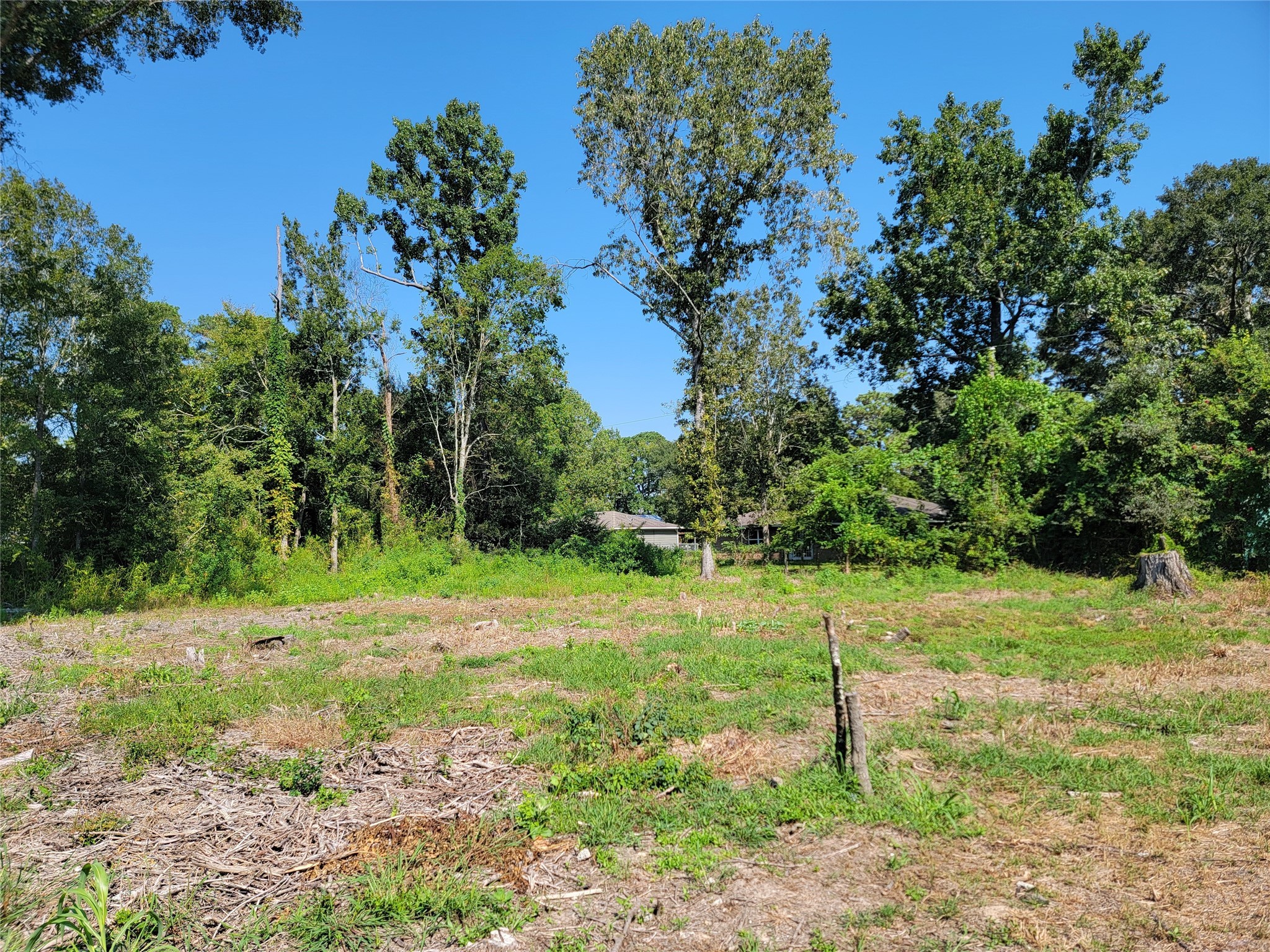 0 Springwater Drive Huffman, TX 77336 - Photo 13 of 17 a big yard with lots of green space