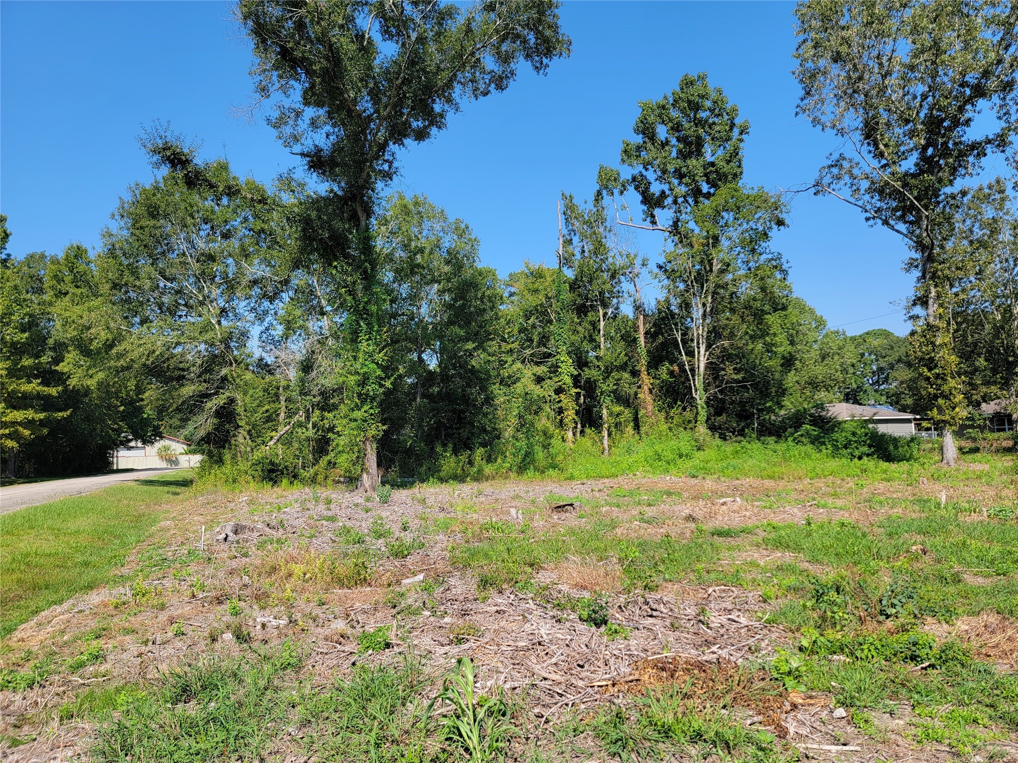 0 Springwater Drive Huffman, TX 77336 - Photo 14 of 17 a view of backyard with green space
