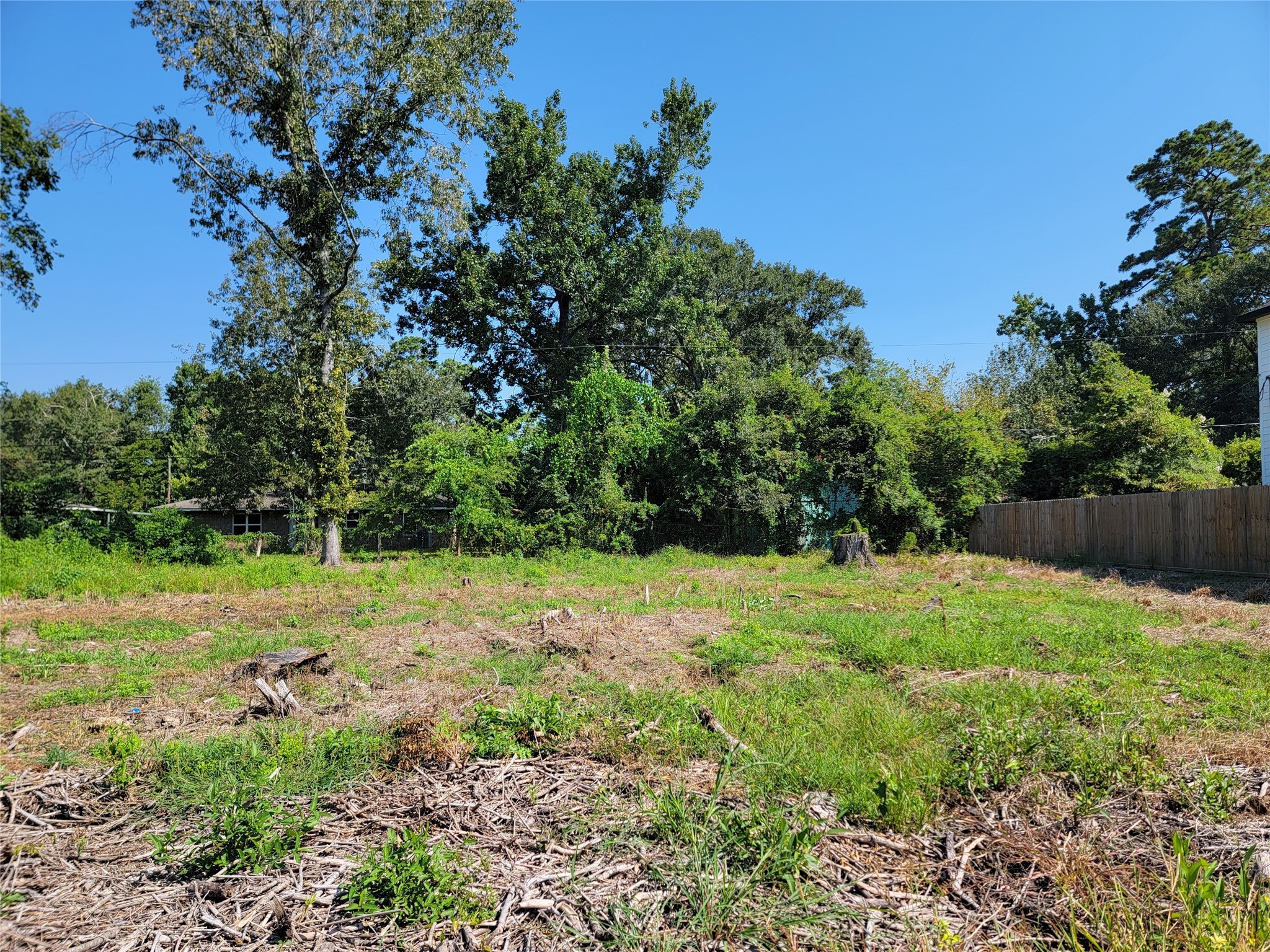 0 Springwater Drive Huffman, TX 77336 - Photo 6 of 17 a view of backyard with green space