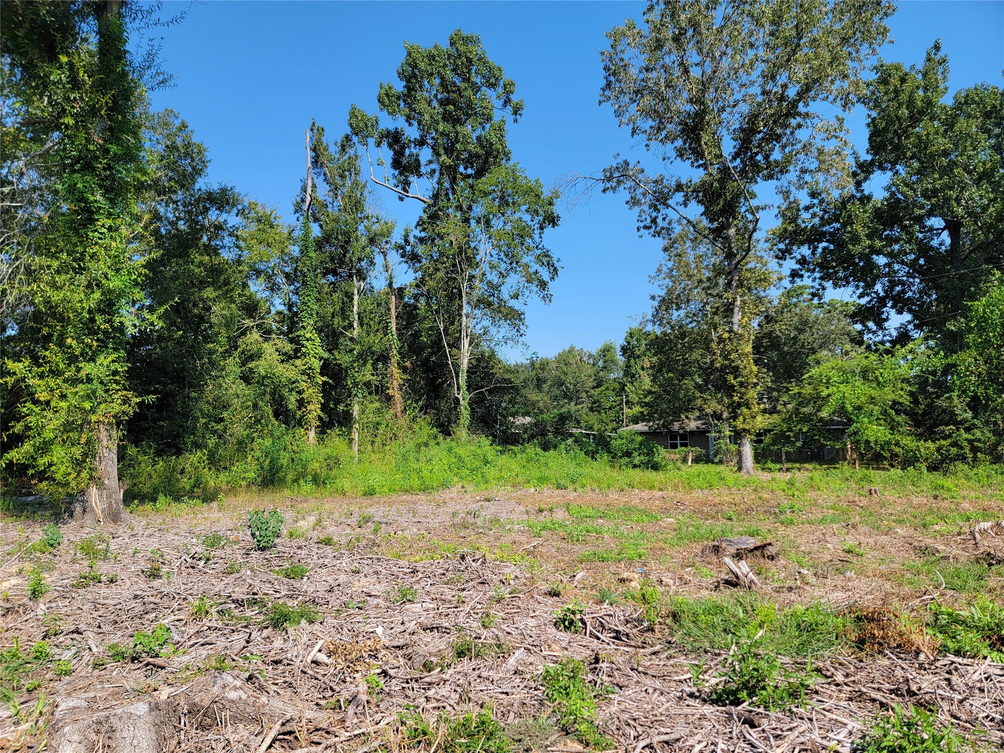 0 Springwater Drive Huffman, TX 77336 - Photo 7 of 17 a view of a yard with a tree